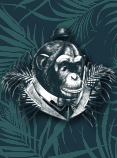 Mister Monkey
