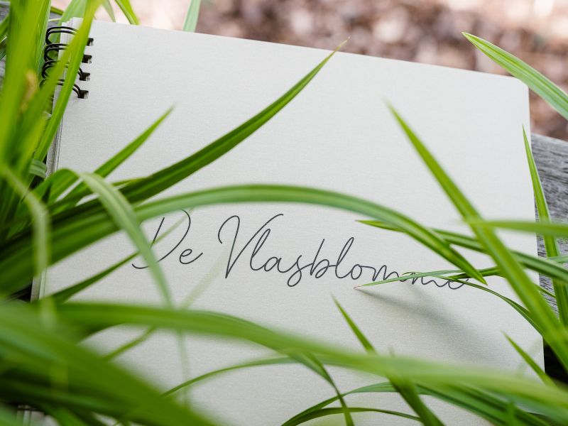 De Vlasblomme | TableFever online reserveren 